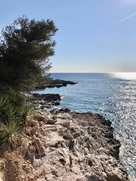 Hervé Zorgniotti tweet media