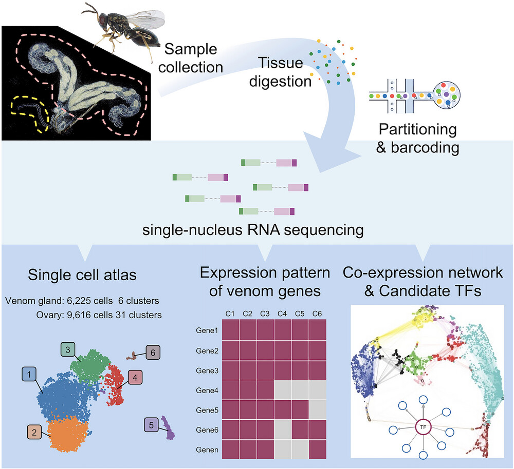 Insect Science tweet media