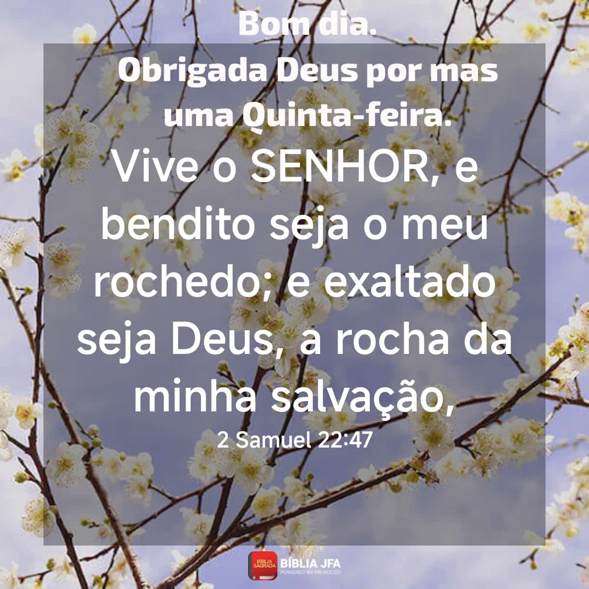 danielTIMBETA (@danielyaman1972) on Twitter photo 