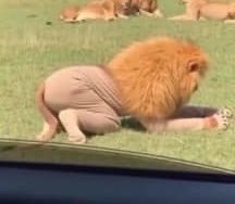 Gm CT 

Never miss out on <a href="/Zetarium_/">Zetarium</a> &amp; <a href="/ActionModelAI/">Action Model</a>