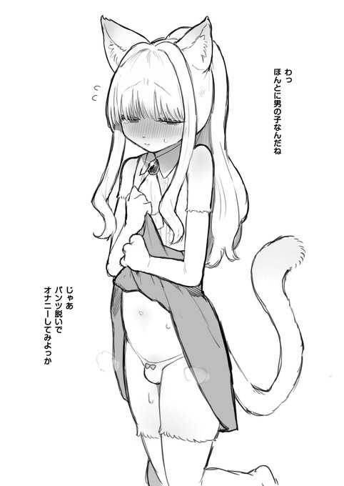 ファンボ更新しました 