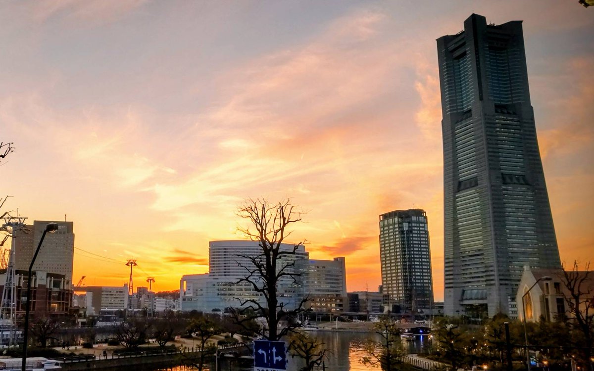 好きな街で暮らしてる🏙️
それも頑張ってこれた１つ。