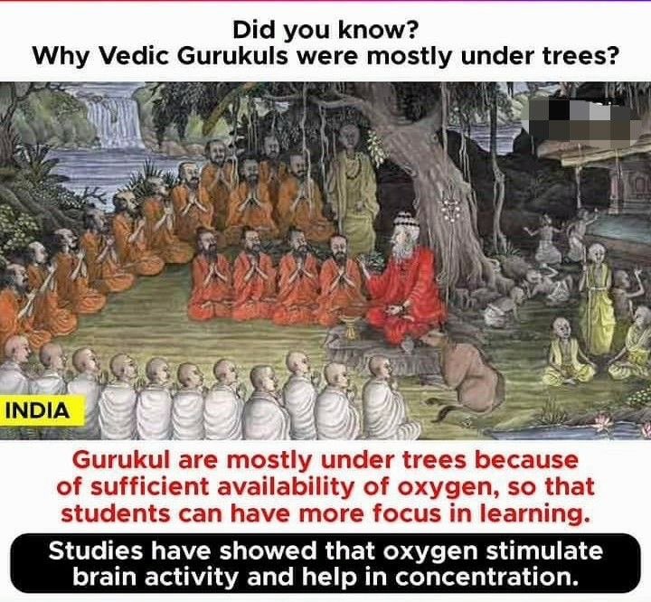 FoMö 🚩 tweet media