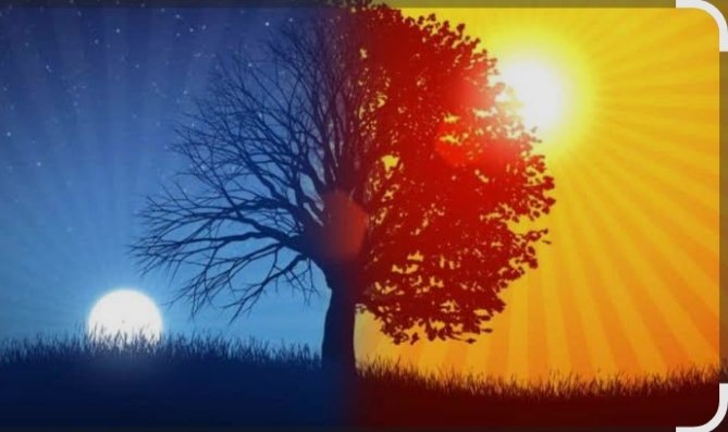 Good morning Legends 

Waking up early is perhaps the only thing I do that makes me very happy but that I can never quite make a habit of. Witnessing the sunrise and admiring its golden light I managed to do this today so I could make new friends, and I feel great