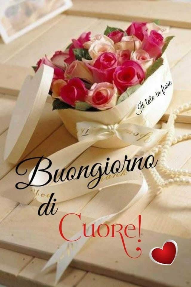 RITABIANCHi56 tweet media