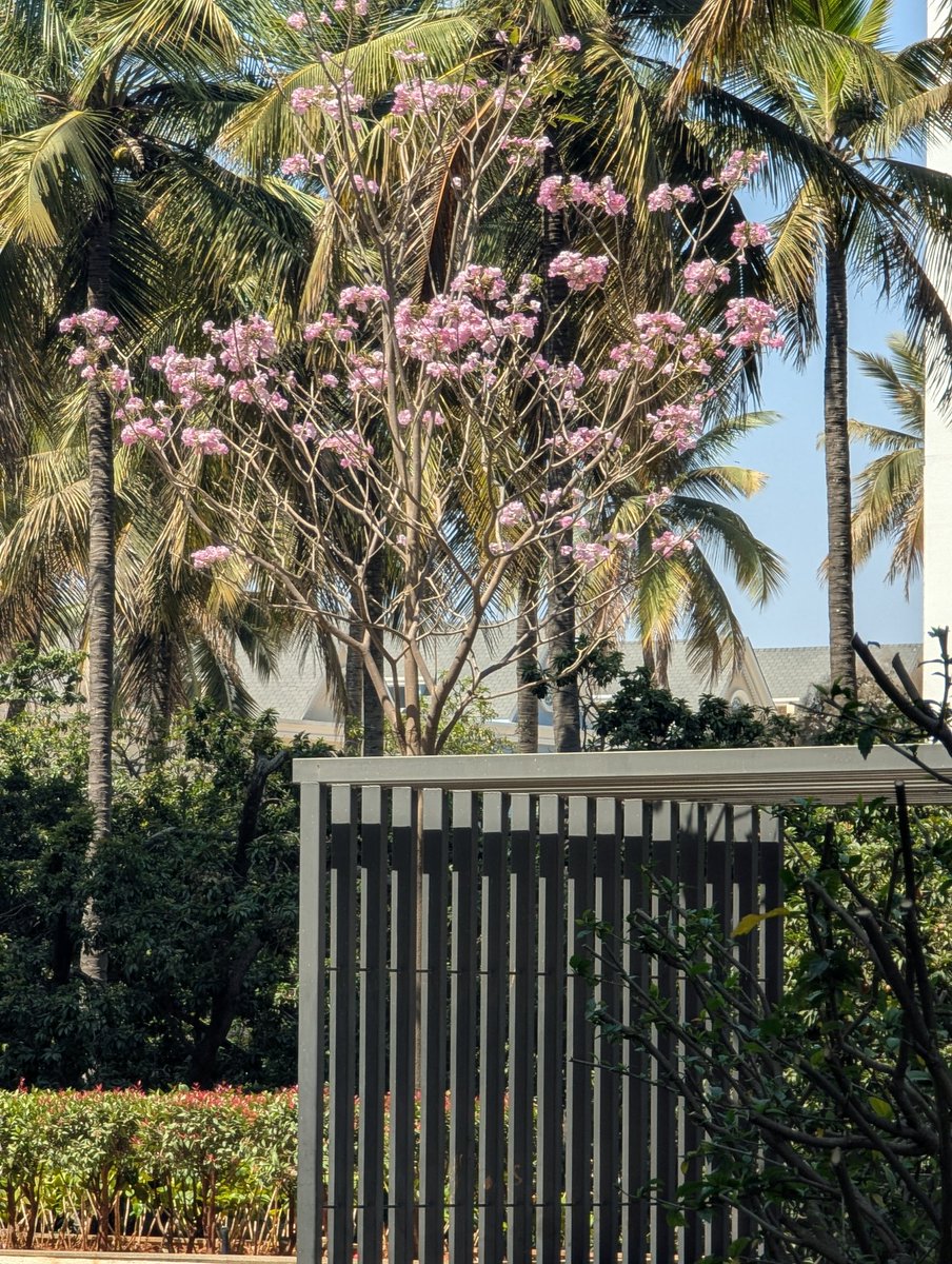 Isomorphs's tweet image. That month of the year. :) #blr