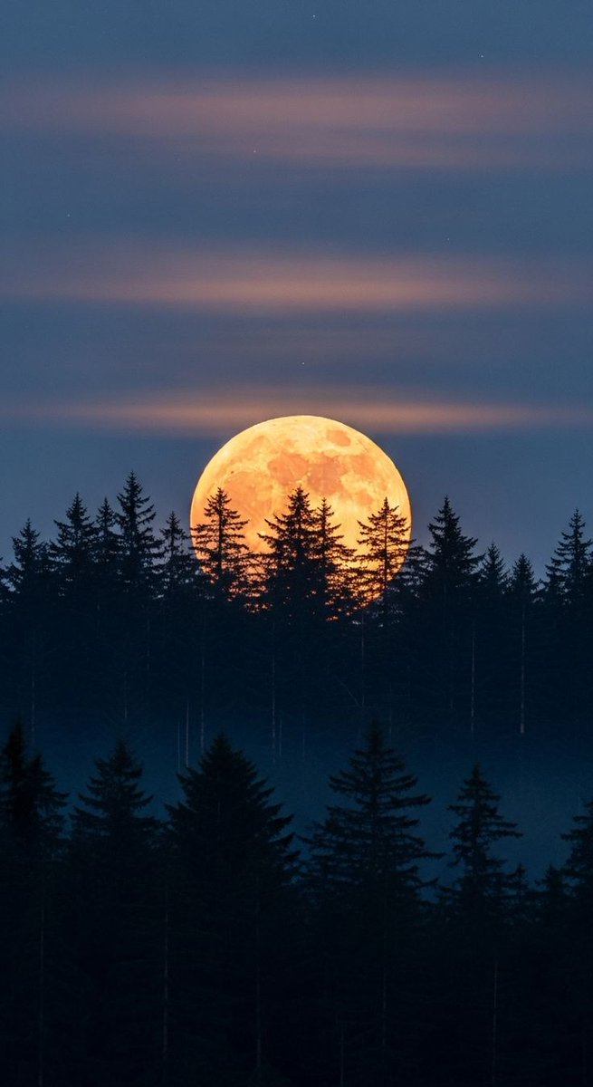 MOON (@dailymoonx) on Twitter photo 
