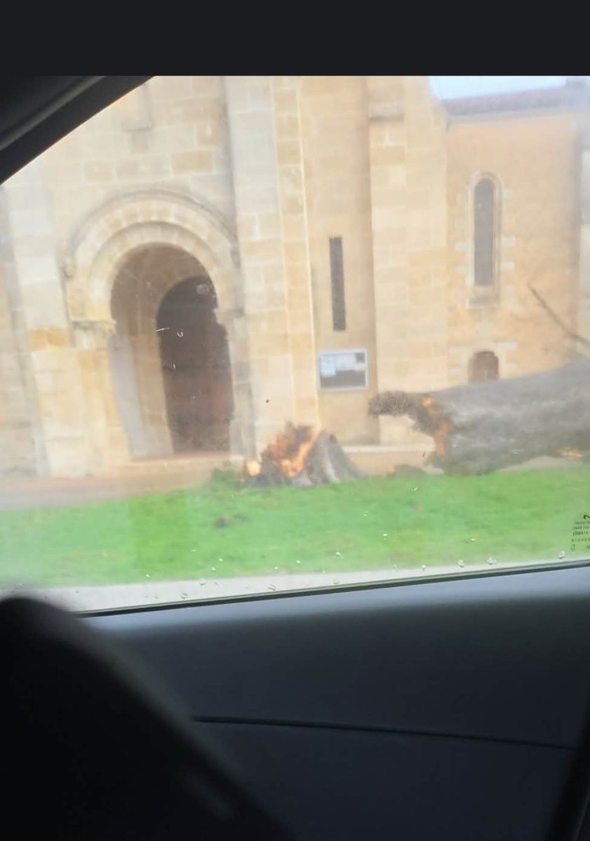 Quand la tempête bloque tout le monde, les infirmiers libéraux, eux, passent quand même. Essentiels.  💉🚗
Courage à tous nos collègues qui sont sur les routes.
À quand un droit de retrait ? 
🌪️ #tempêtenils #dangereux #arbrescoupés #santé #InfirmiersLibéraux