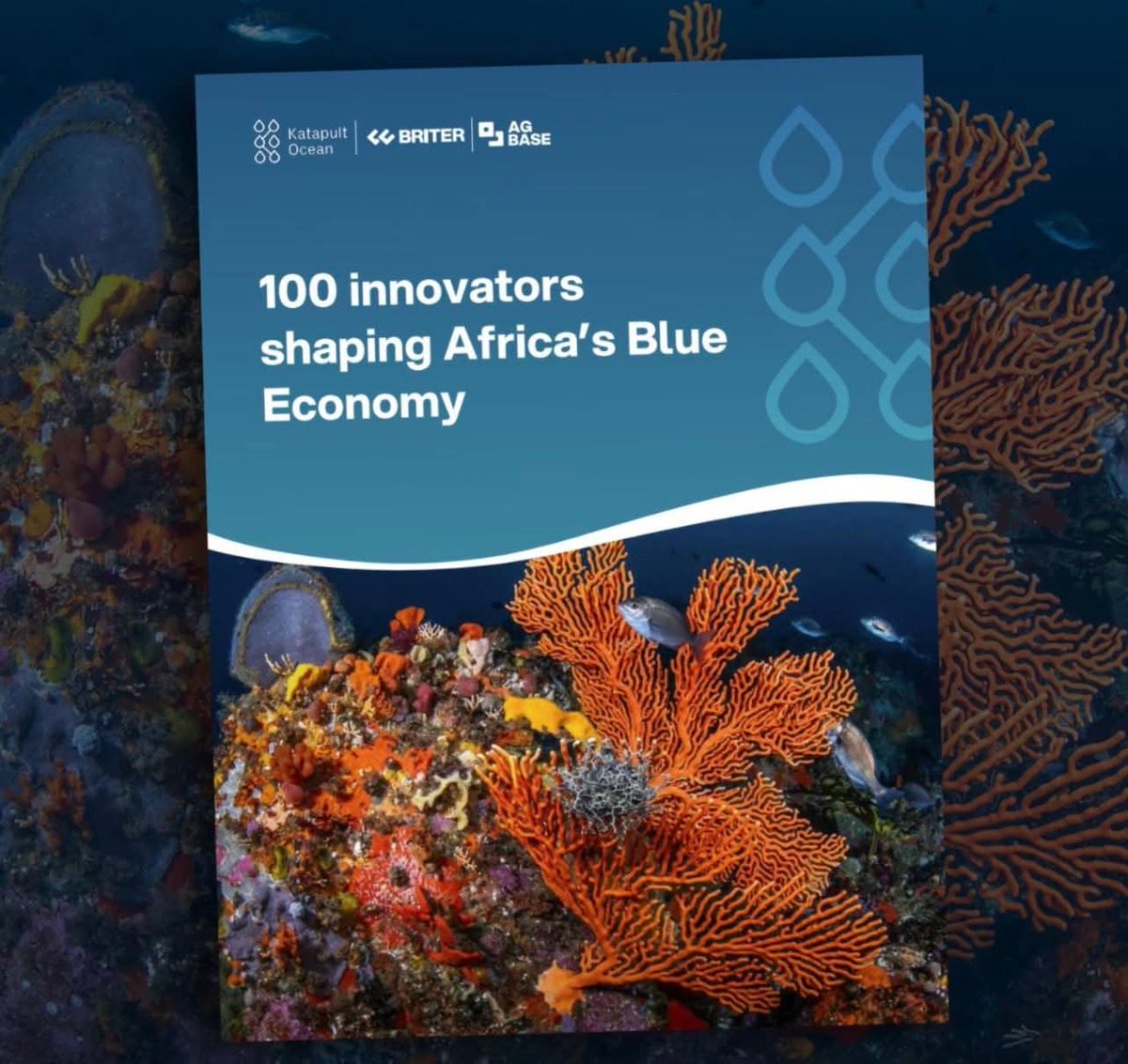 twendegreen's tweet photo. We are proud to share that Twende Green Ecocycle has been featured among the 100 Innovators Shaping Africa’s Blue Economy by Katapult Ocean, Briter, and AgBase. https://t.co/zdAK9wdqCh