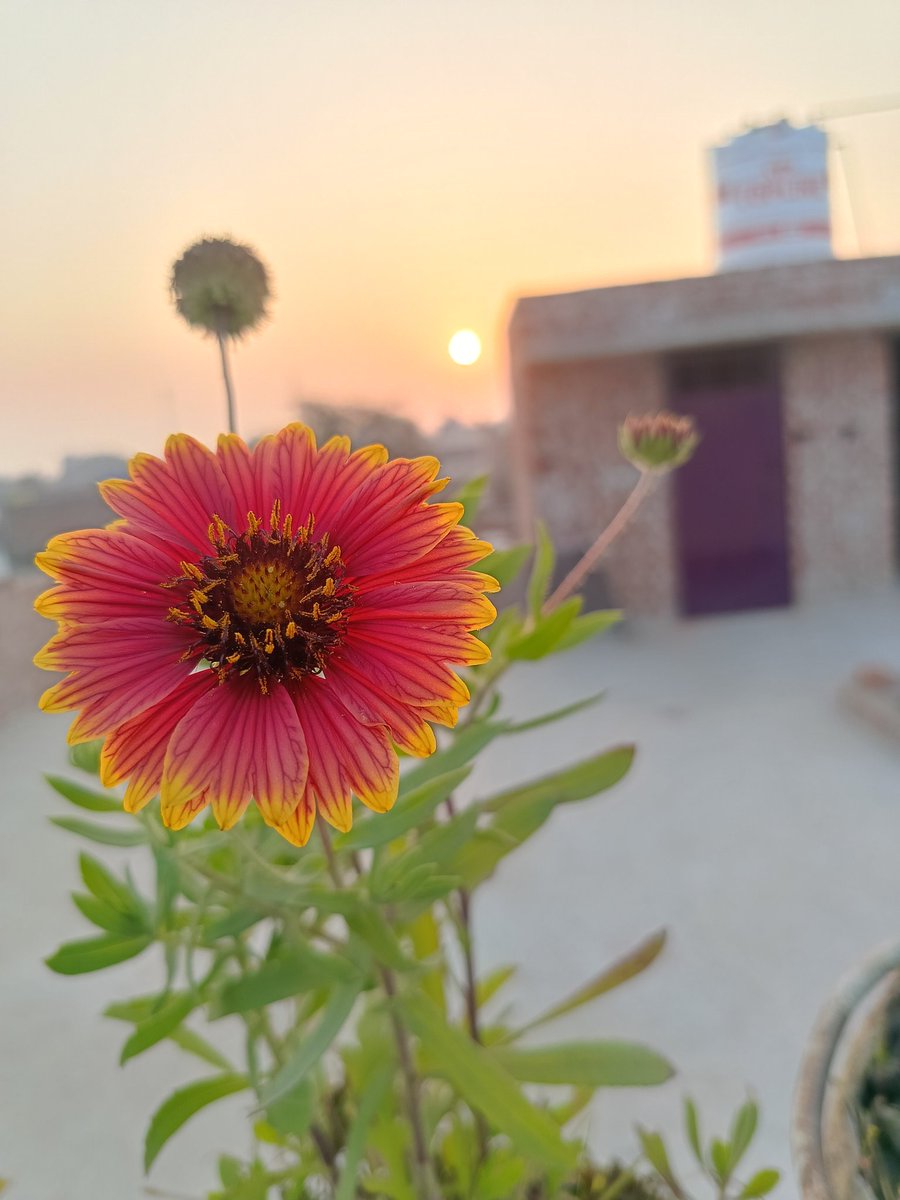 Photo click karne Kai liye location maine nahi rakhta...........................see more