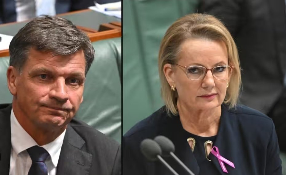 #Herzdog fight. 
The hate speech legislation, which she supported to gain Jewish lobby support, may end her leadership. Hate and division back fired. 
#auspol