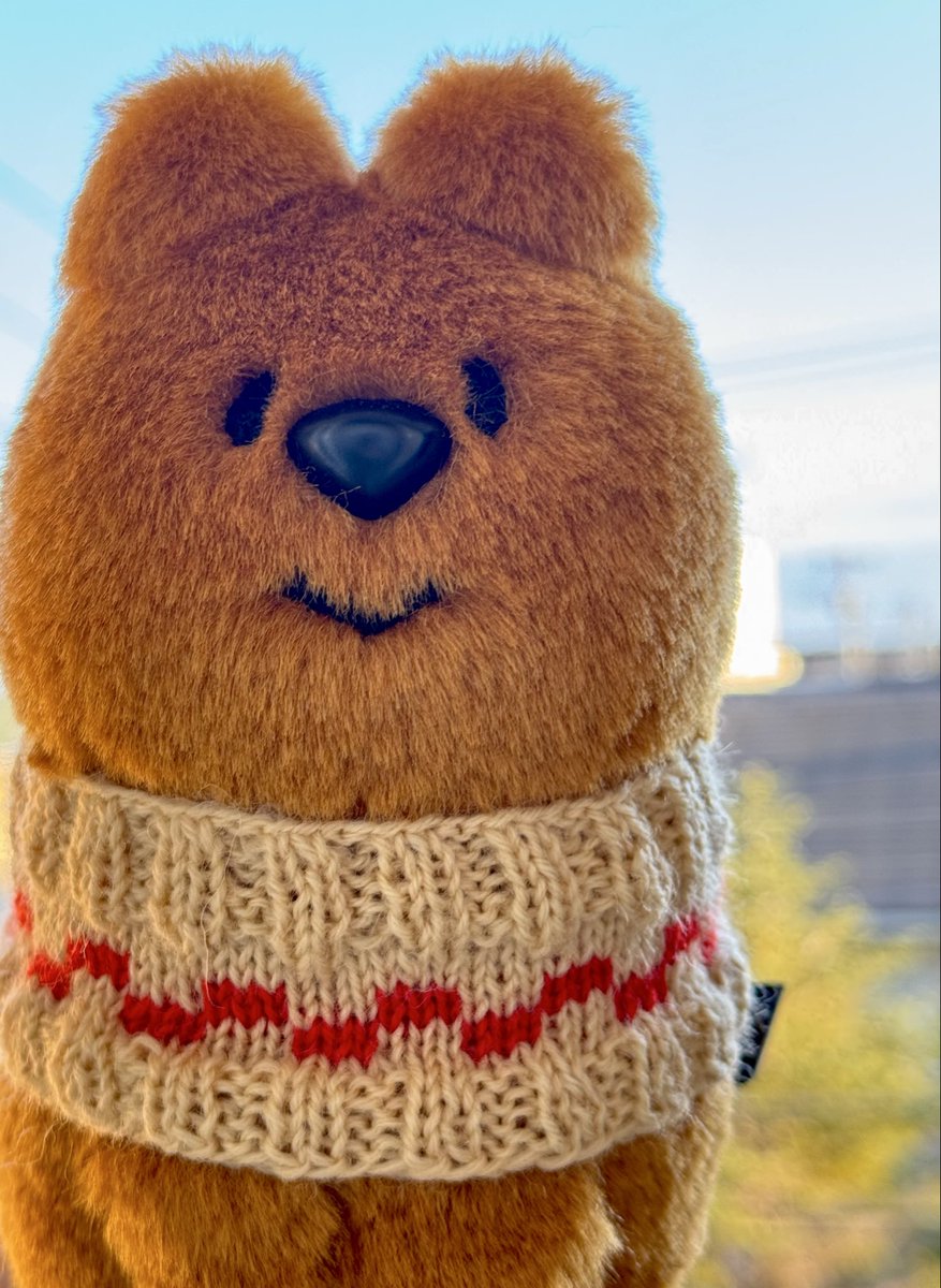 チャッキーにも編んであげました✨
お兄ちゃんになったんだもんね
「ｵﾄｳﾄｶﾞﾃﾞｷﾏｼﾀ ﾅﾏｴﾊ ｺﾞﾛｰ」
 #クオッカちゃんのいる生活
