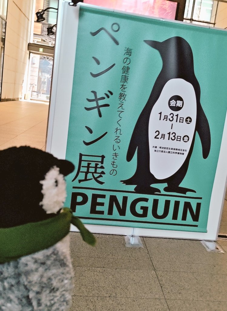 ぺんぎん705号 (@4rMv3u7Dyg2hC5R) / Posts / X