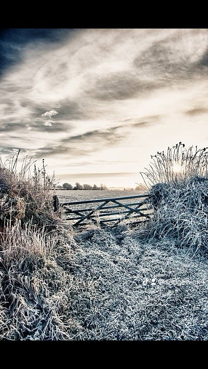 SedgewickHarris's tweet photo. “The lane will be impassable.  If we die in here they won’t find us until Easter.”
Sedgewick Harris considered this.  “Then we must try to be interesting corpses.”
‘I refuse to die holding one of the Sedgewick Harris books,” Jonathan said firmly. “It would be too humiliating.” https://t.co/HK8jJb0G1W
