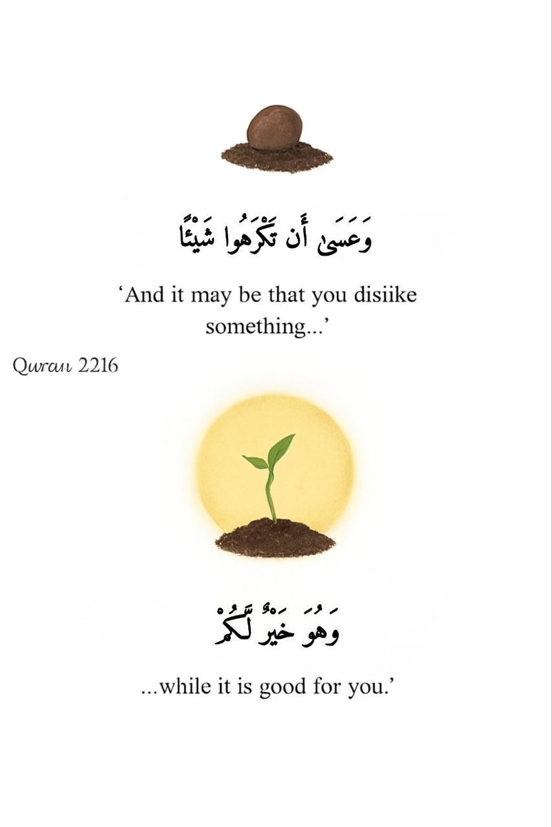 Alquranconnect's tweet photo. Verse of the day https://t.co/xCq8NxnqR4
