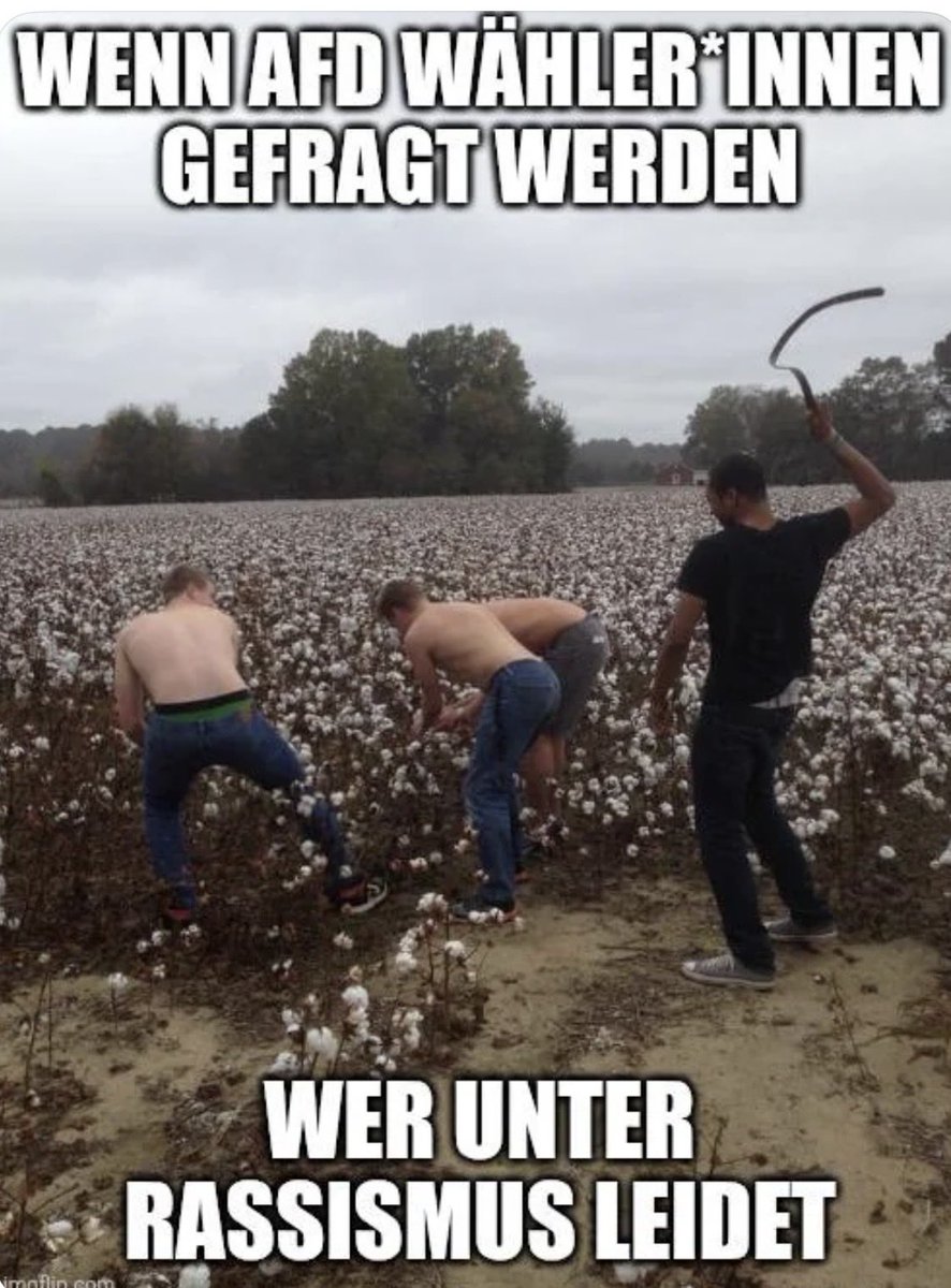 Faktencheck2030's tweet image. ..hier, das unerträgliche Dasein der AFD-Opfer im sozialistischen Deutschland 🇩🇪 
#AFDmachtdumm #Rassismus