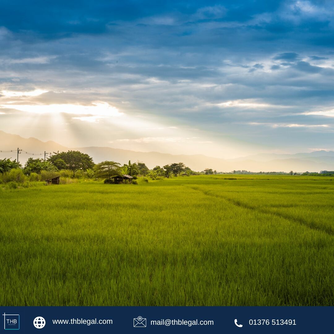 THB Solicitors tweet media