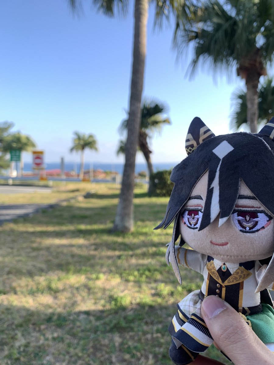 Fuji-次走:未定 tweet media