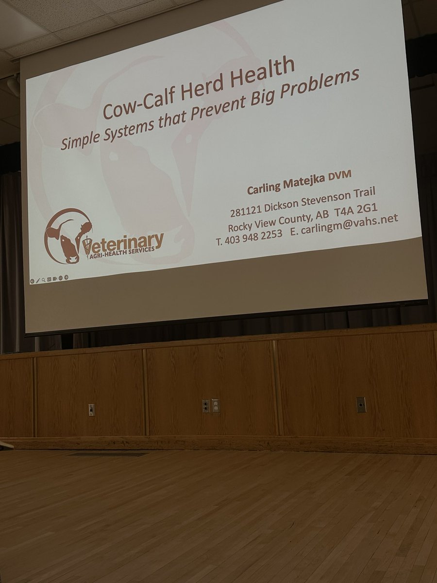 EquiSportsTherapy tweet media