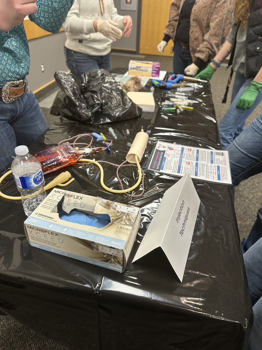 EquiSportsTherapy tweet media