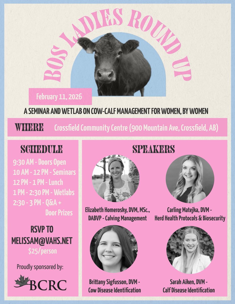 EquiSportsTherapy tweet media