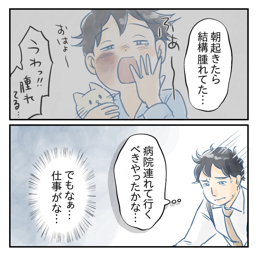 (3/3) 