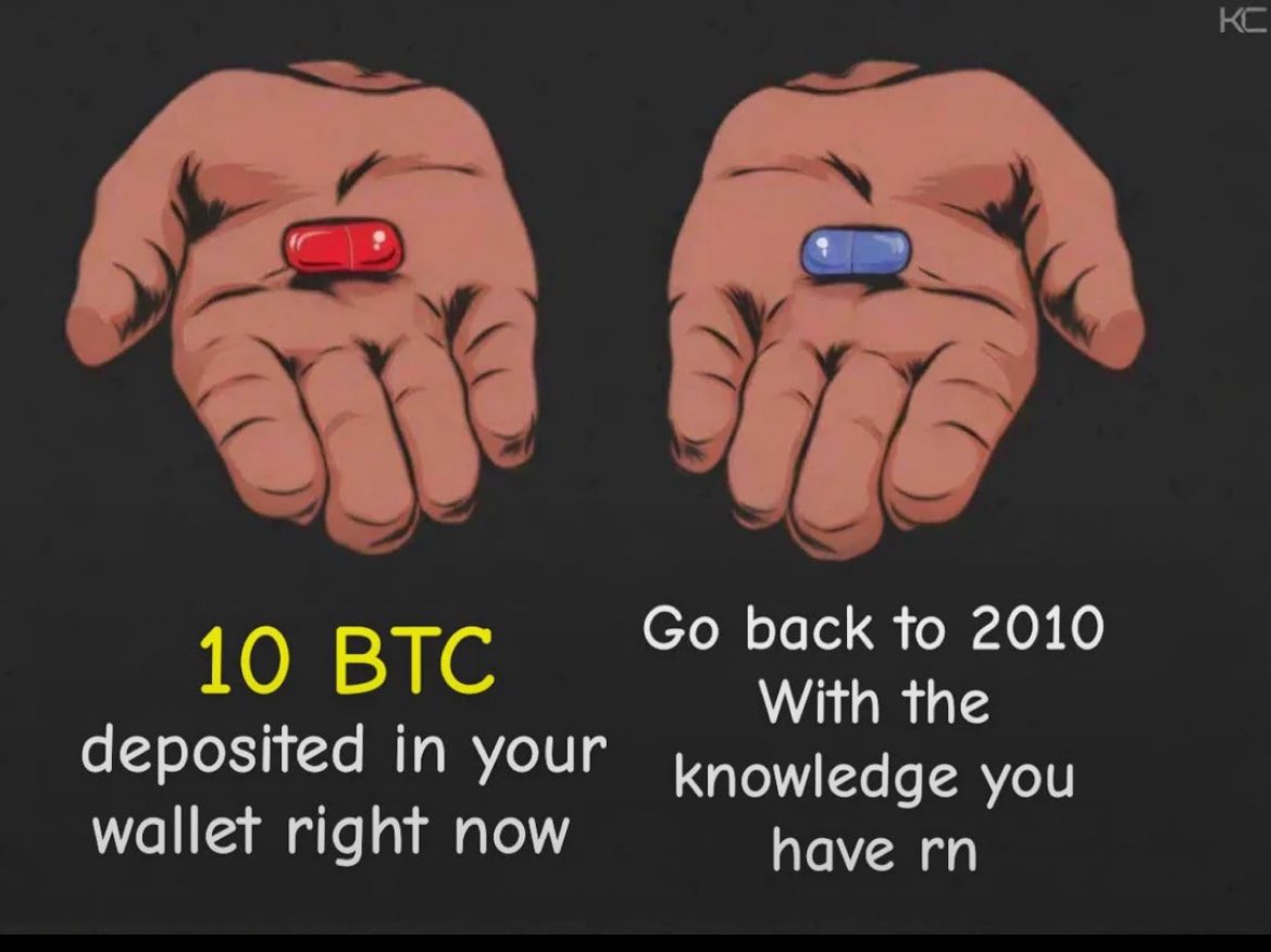 Bitcoin Teddy tweet media