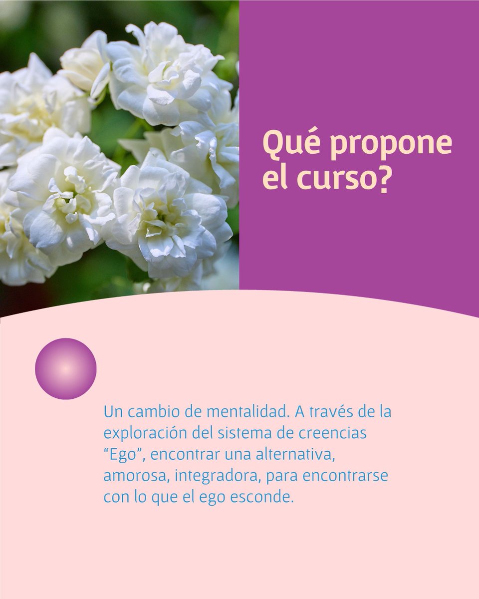 diegob933's tweet photo. Esta es una propuesta de exploración e integración, de laboratorio, de relación con el proceso espiritual-existencial en cada uno.
El mapa, Un Curso de Milagros. Su mística, su forma, su propuesta, es ideal para el autoconocimiento y la transformación. 

+ info: MD

#ucdm https://t.co/Az5lvz5FWj