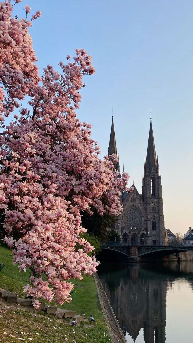 Ariel Hand tweet media