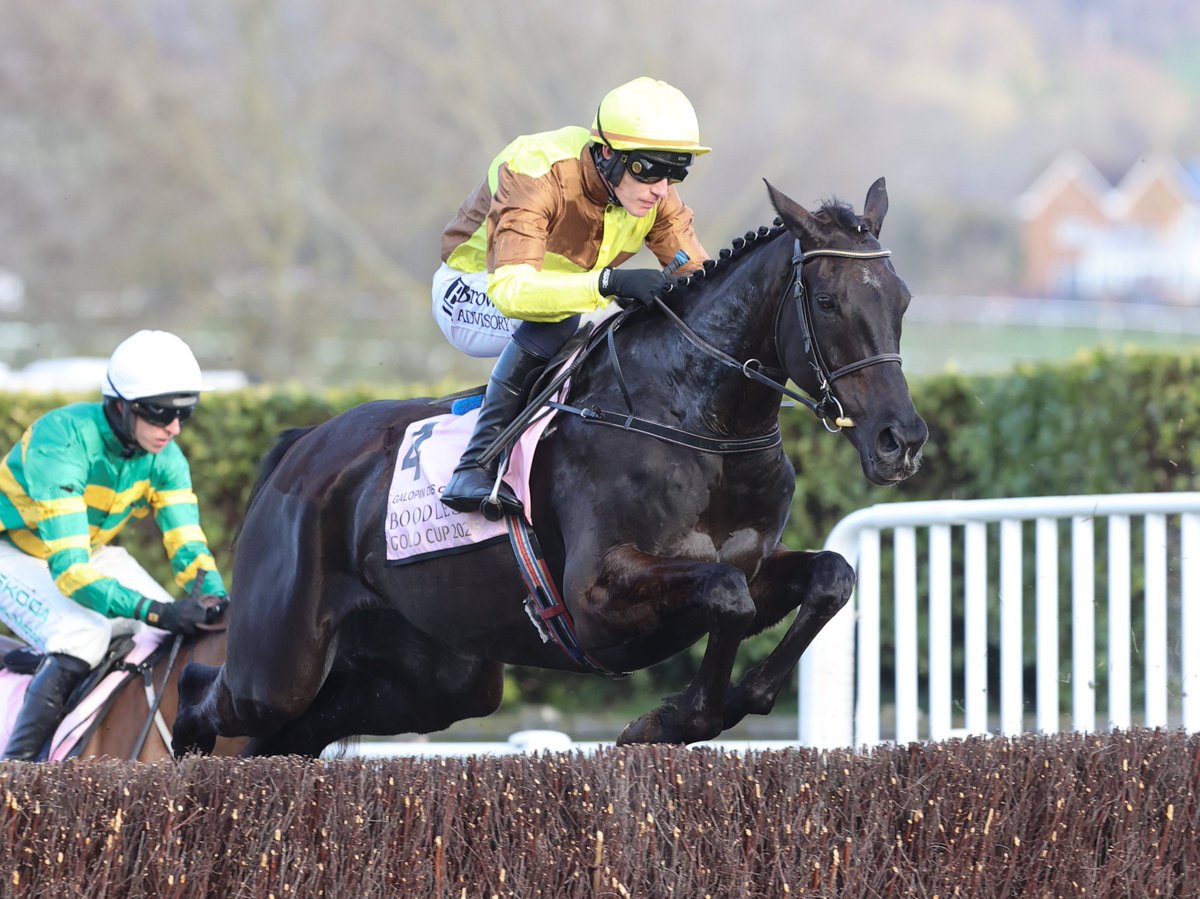 Racing Post tweet media