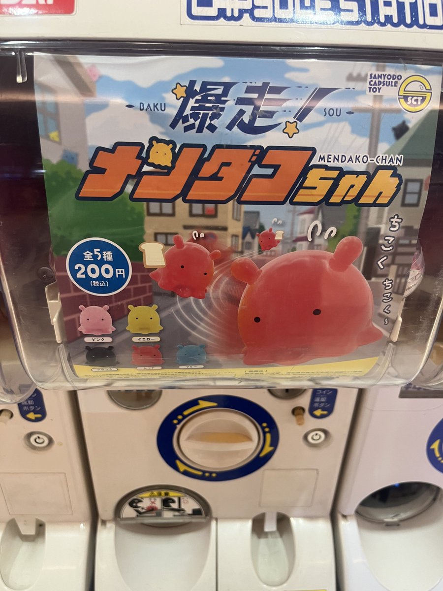 爆走メンダコちゃんかわいい🐙💨