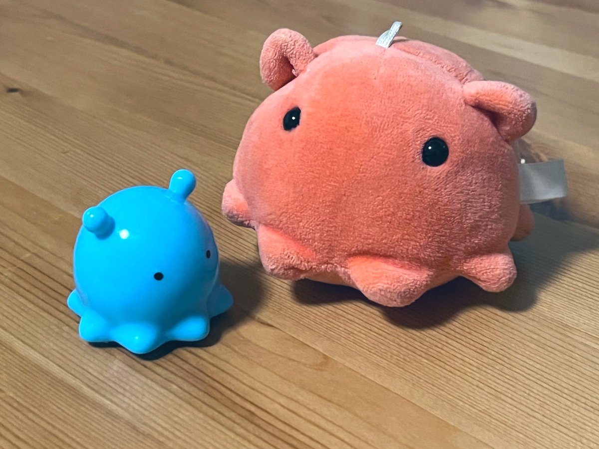 爆走メンダコちゃんかわいい🐙💨