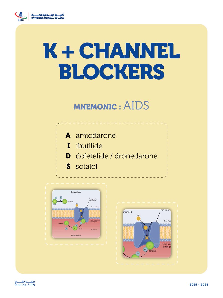 Mnemonic of the day: “AIDS”
A quick way to remember Class III antiarrhythmics (K⁺ channel blockers)