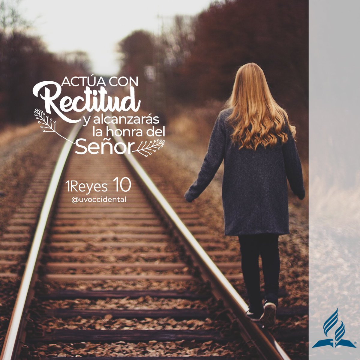 1Rey10. La sabiduría no es evidente por la cantidad de conocimiento sino con pensar, meditar y hacer lo correcto delante de Jehová con oración. Dios no desea llevar al hombre a la vergüenza, pero alejarse de su Creador lo debilita. Amén. #rpsp