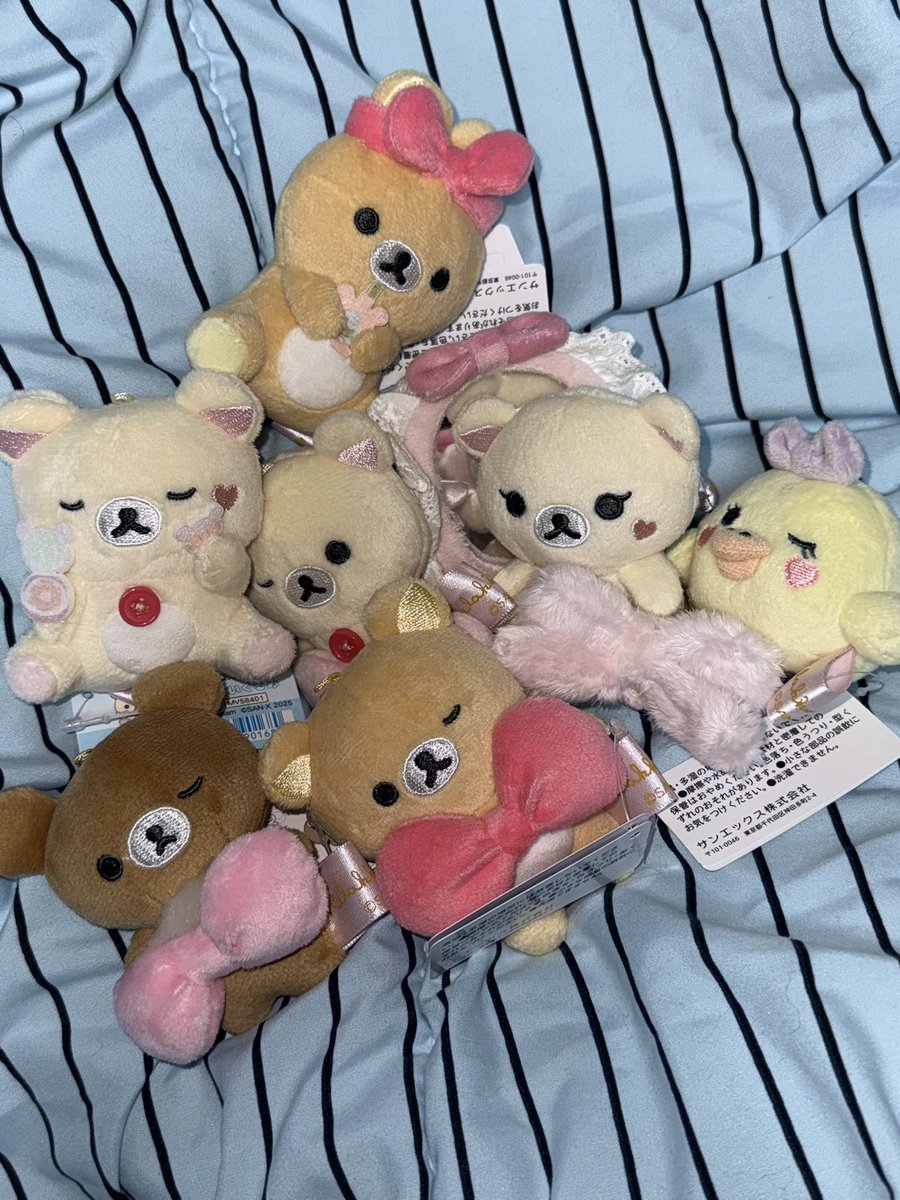 우리집새친구들..😳