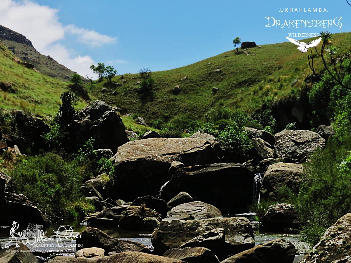 Visions of the KZN Drakensberg Wilderness............................

hikingthedrakensberg.blogspot.com
