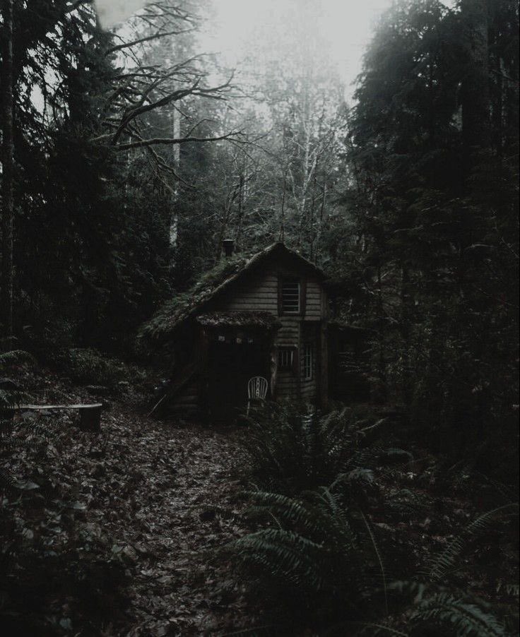 _AfterM1dnight's tweet photo. 🖤 𝕒𝕨𝕒𝕜𝕖. ~ age in bio (mdni!) ~ she/they | primal sub | bisexual ~ ♡/rt to be moots (selective) #nsfwtwt #afterdarkvibes https://t.co/pWsLiqGUIx