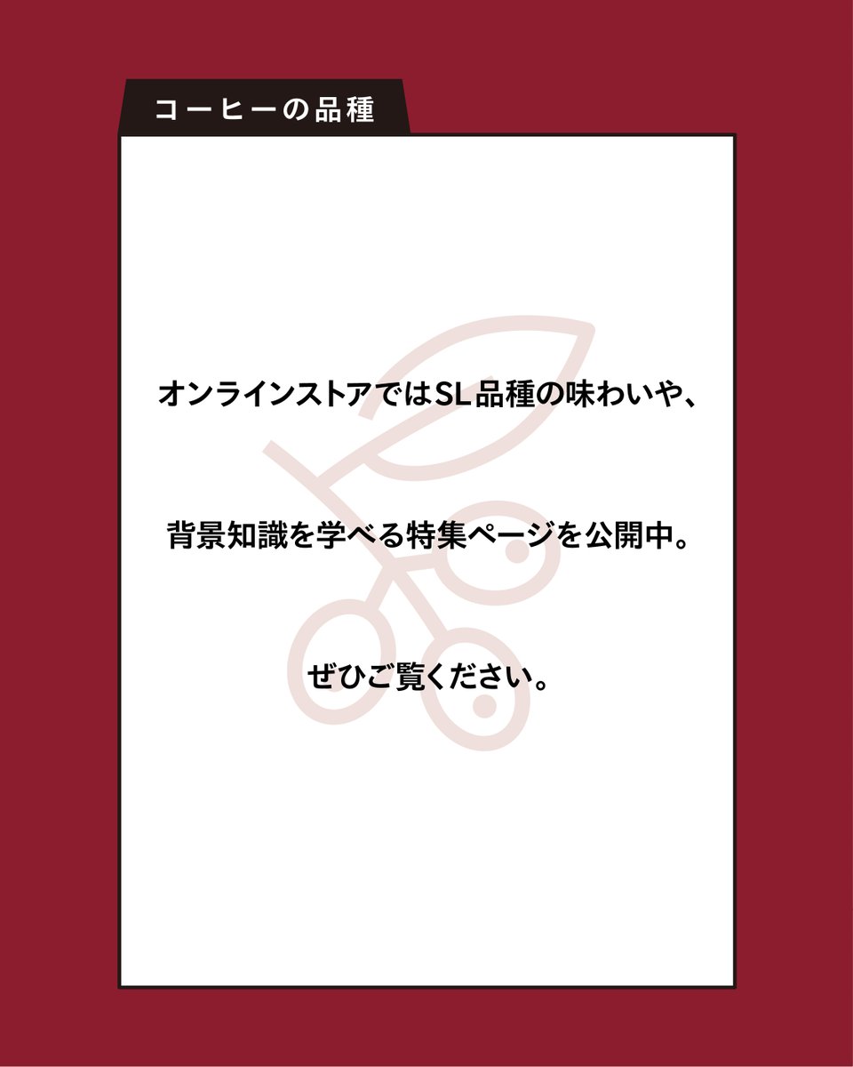 “華やか”“フルーティー”と称され、品評会上位を賑わすコーヒー品種といえば「ゲイシャ」。
もう一つ、同じ文脈で語られるのが「SL品種」です。
3種類のSLを飲み比べ、背景を学べる記事を公開中。
kohikobo.com/html/page222.h…