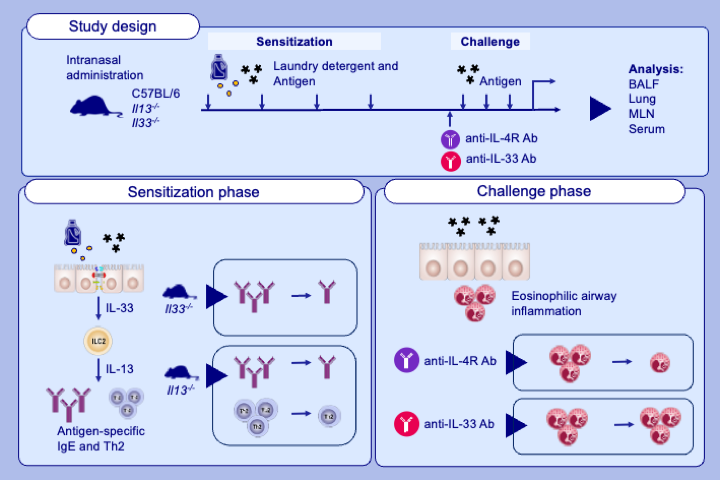 NCCHD Allergy and Clinical Immunology tweet media