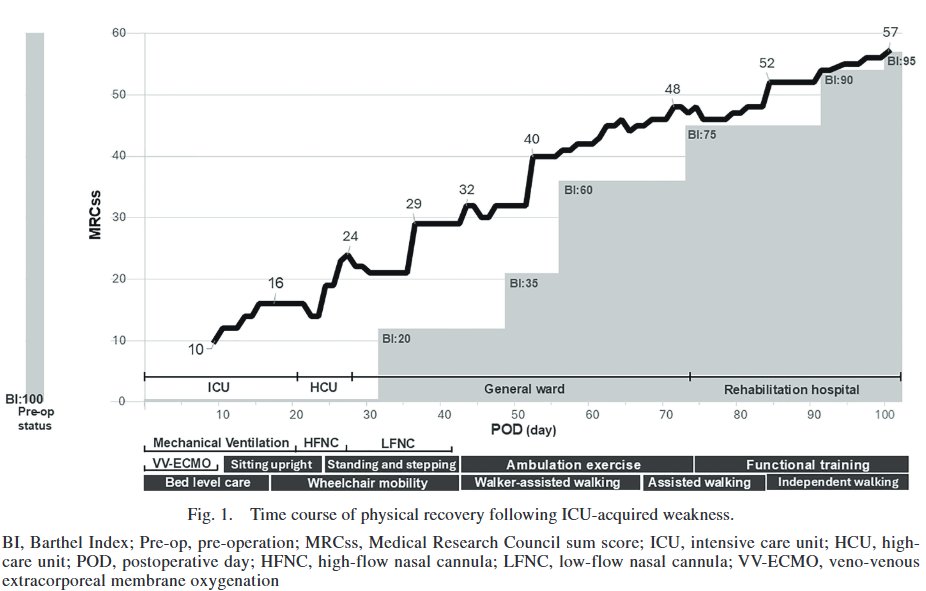 ptr_journal's tweet photo. Advance Online
Recovery of Physical Function in a Patient with Intensive Care Unit-acquired Weakness after Valvular Surgery: A Case Report
https://t.co/p9eP8uwfUf
#ICUAcquiredWeaknessICUAW #FunctionalRecovery #PreoperativePhysicalFunction #EQ5D https://t.co/49FPKGDxBK