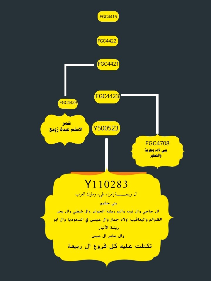 altmn21160's tweet photo. هذه ال ربيعـــــــة لمن يبحث عنها لن ولم تجتمع ال ربيعـــــــة الطائية ال مرا وال فضل في تحور الا على الخط الذي يجمع مسمياتها 
#Y110283
#FGC4423 
#Fgc4415 https://t.co/yDKcpL38Ha