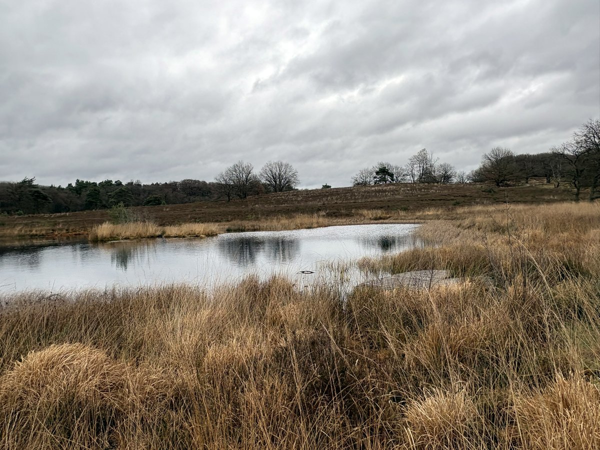 Wandelnet tweet media