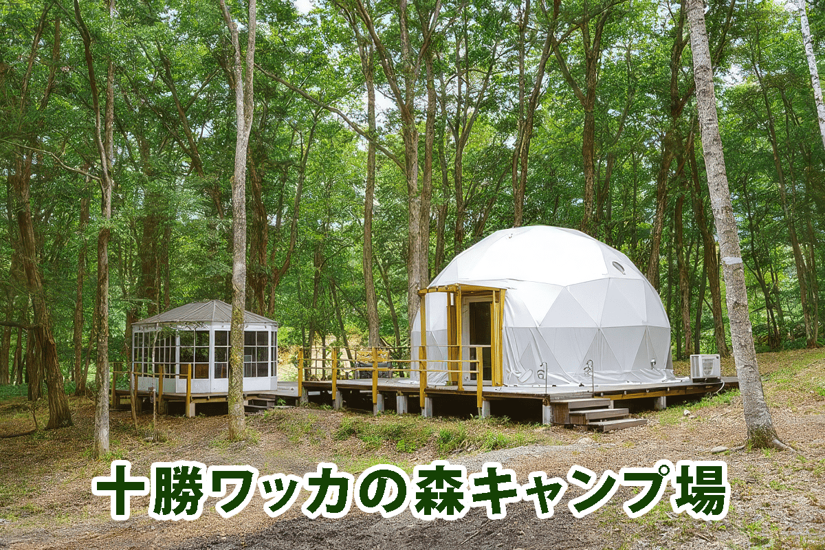 もう少しだけ冬が続きそうですね。  天候が不安定な時期こそ、頼りになるのが「通年営業」のキャンプ場。今回は道東地区でまとめました。   
 
・スノーピーク 十勝ポロシリ 
・十勝ワッカの森 
・むそう村 
 
無理のない計画で、冬の終わりも楽しみましょう。
※最新情報は必ず公式HP等でご確認を！