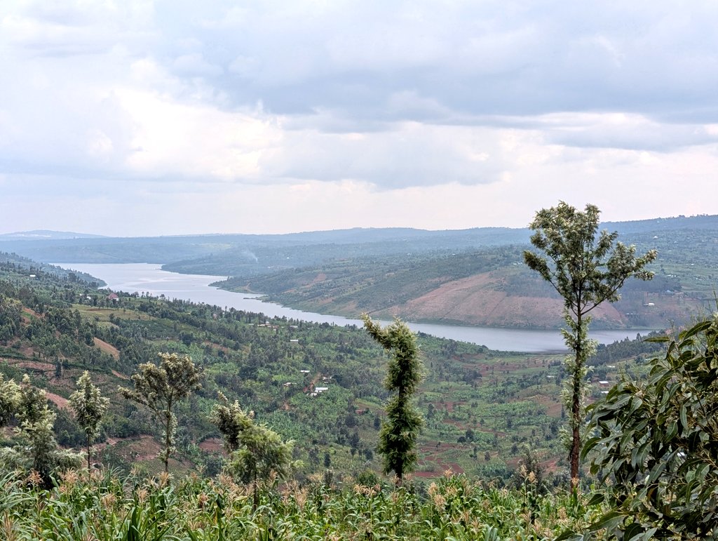 Alpha LandRover 🇰🇪 tweet media