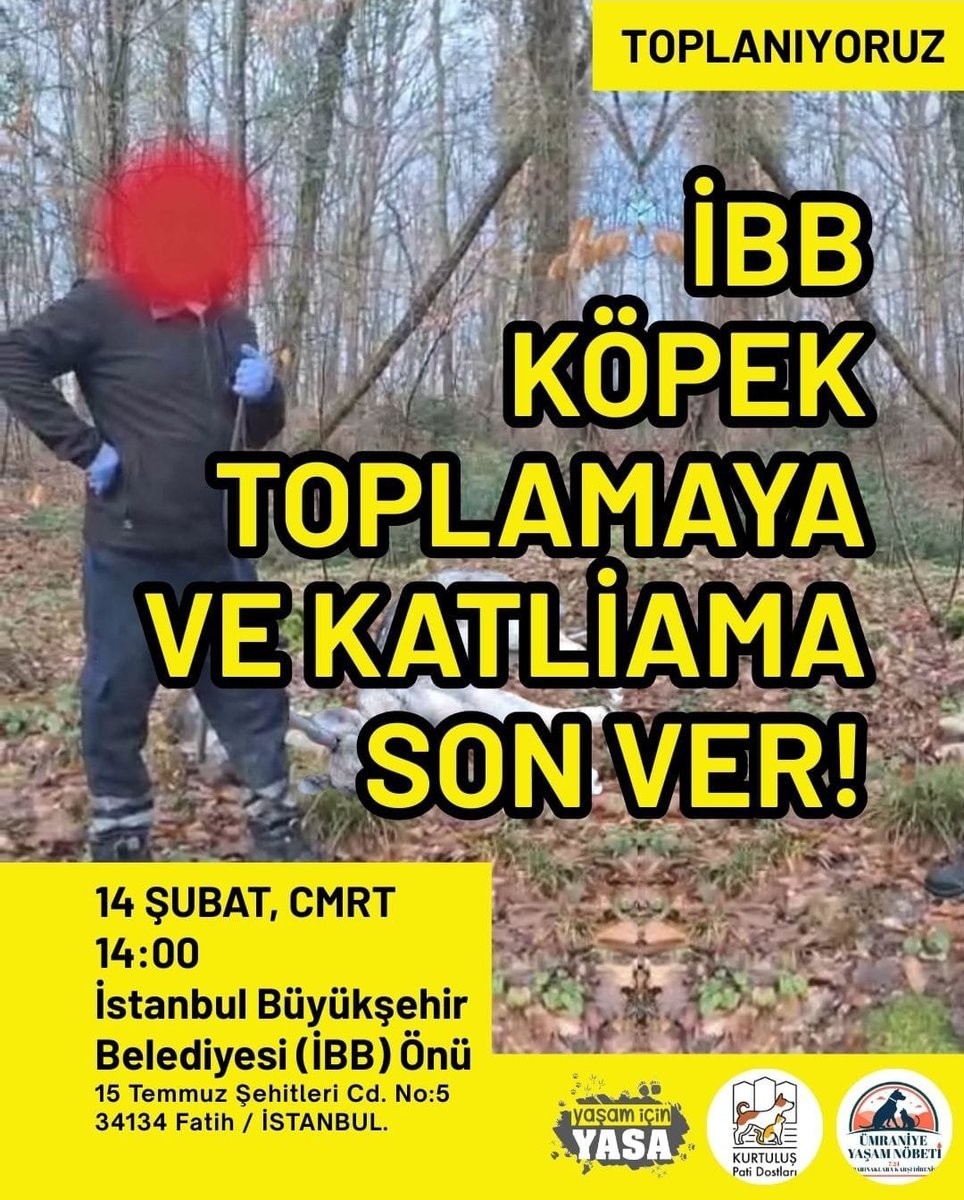 Hayvanlara yönelik tecrit ve katliam politikasına ortak olan İstanbul Büyükşehir Belediyesi'ne karşı sesimizi yükseltiyoruz!

Muhalefet iddiasıyla seçilip iktidarın kanlı yasasını uygulamak, siyasal tutarlılık değil; açık bir eklemlenme ve ölüm siyasetini yerelde tahkim etme