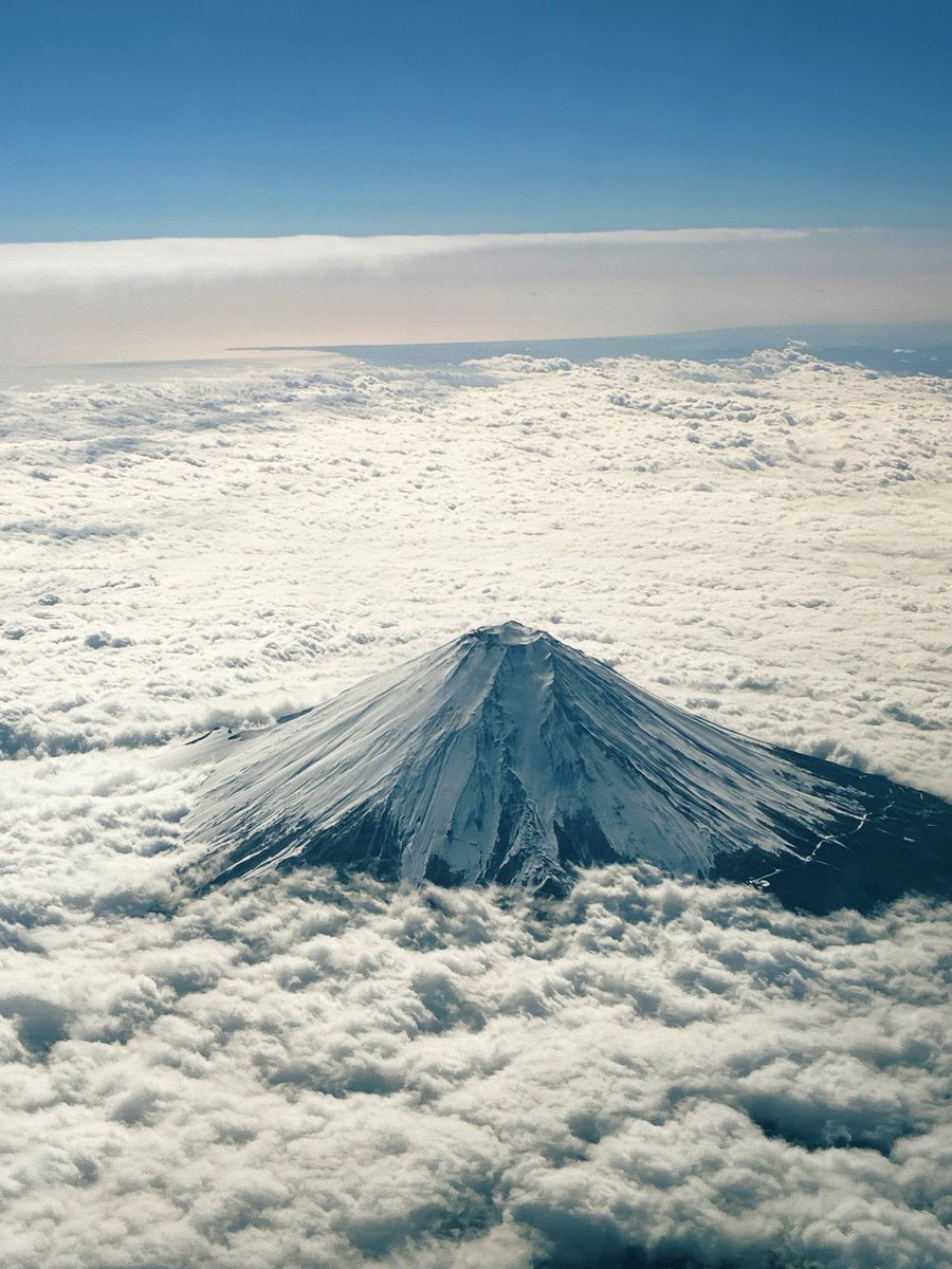 空から見れて大満足　富士山