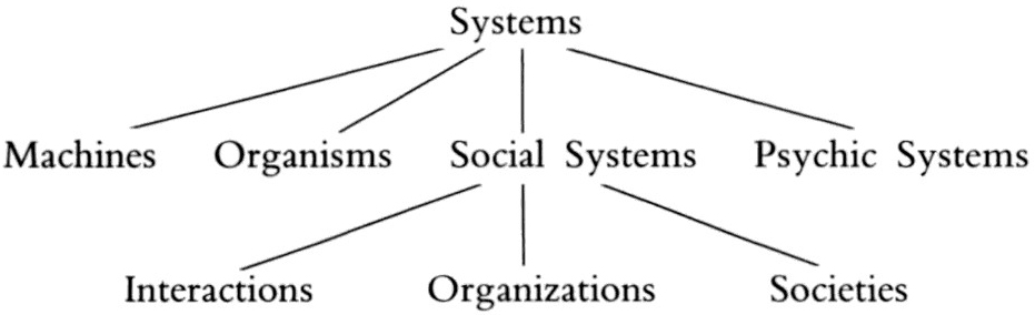 Management Revue tweet media