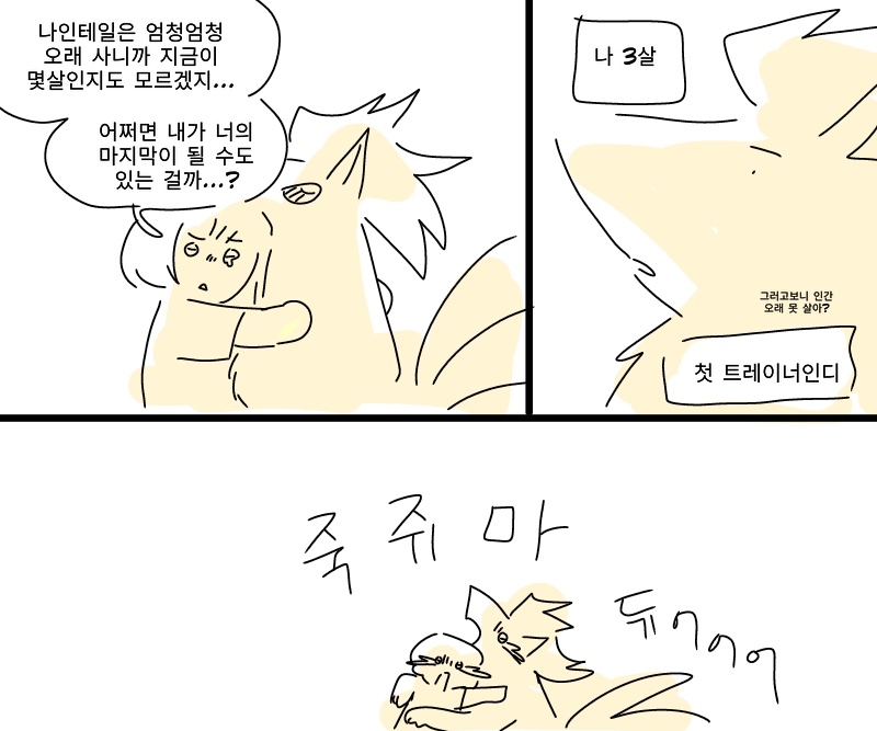 포켓몬의 진화 정도=/=포켓몬의 나이