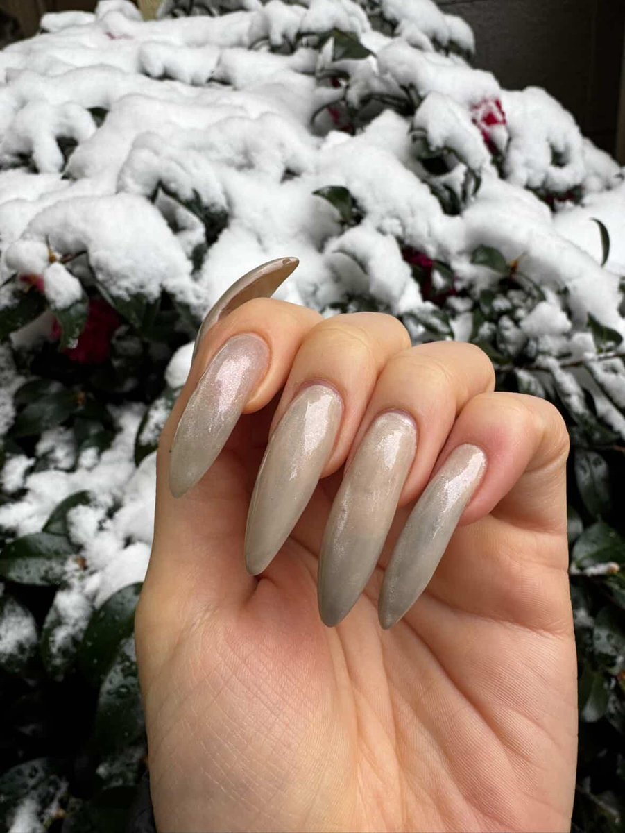longnailspage's tweet photo. @clawedwitch winter nails
https://t.co/p0YQA3dsKO
#winternails #longnails #naturalnails #realnails #claws https://t.co/Xbv8rSQmqd