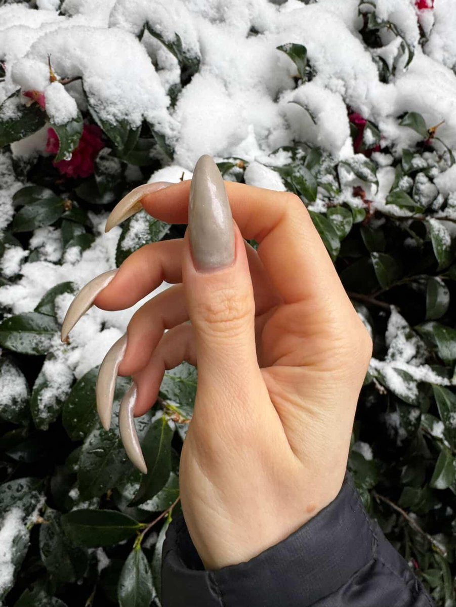 longnailspage's tweet photo. @clawedwitch winter nails
https://t.co/p0YQA3dsKO
#winternails #longnails #naturalnails #realnails #claws https://t.co/Xbv8rSQmqd
